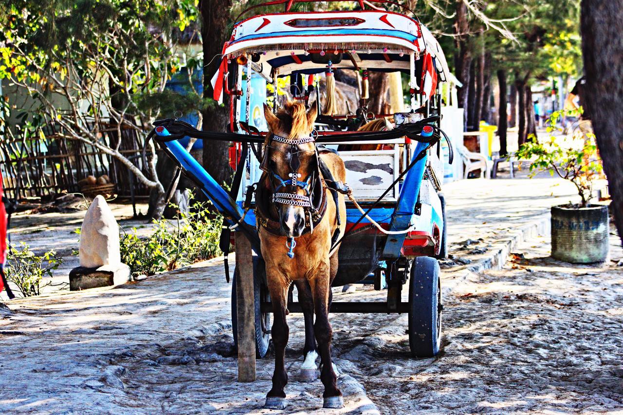 Meno Dream Resort Gili Meno Exterior foto